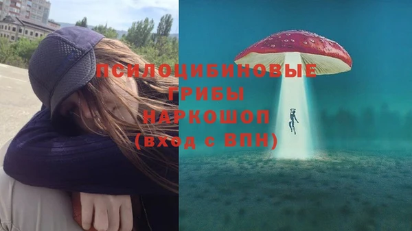 мяу мяу мука Данков