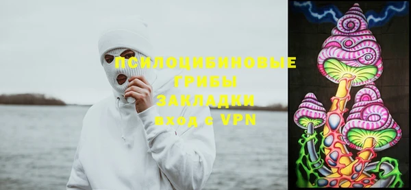 твердый Алексин