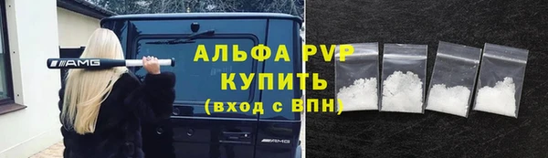 крисы Дегтярск