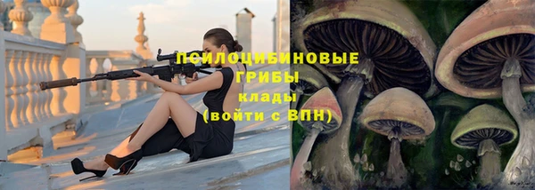прущие грибы Алексеевка