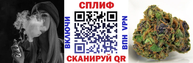 купить  цена  нарко площадка клад  Шишки марихуана White Widow  Спасск 